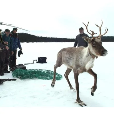 L’Esprit du Nord, épisode 3 de la série documentaire Objectif Nord