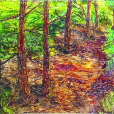 La forêt interdite, l’une des œuvres de Lyne Ouellet