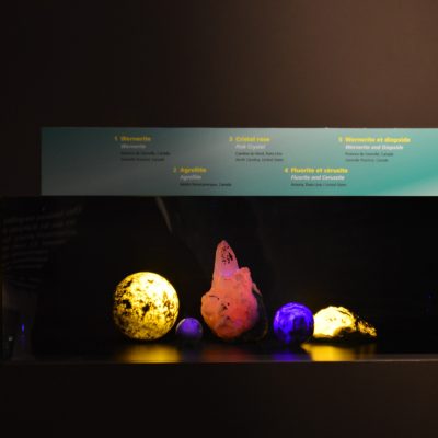 Une partie de la collection de pierres fluorescentes 
